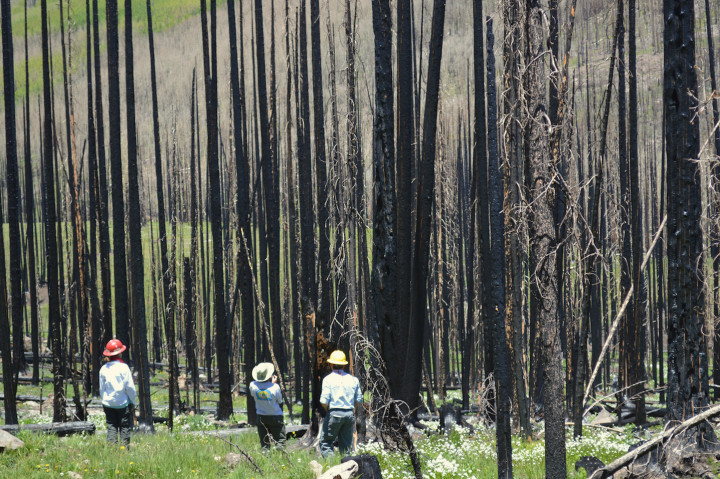 Fire Over the Mountain: SJHFHP hosts tour of West Fork Fire