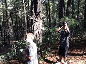 Pagosa Springs Students Study Forest Health